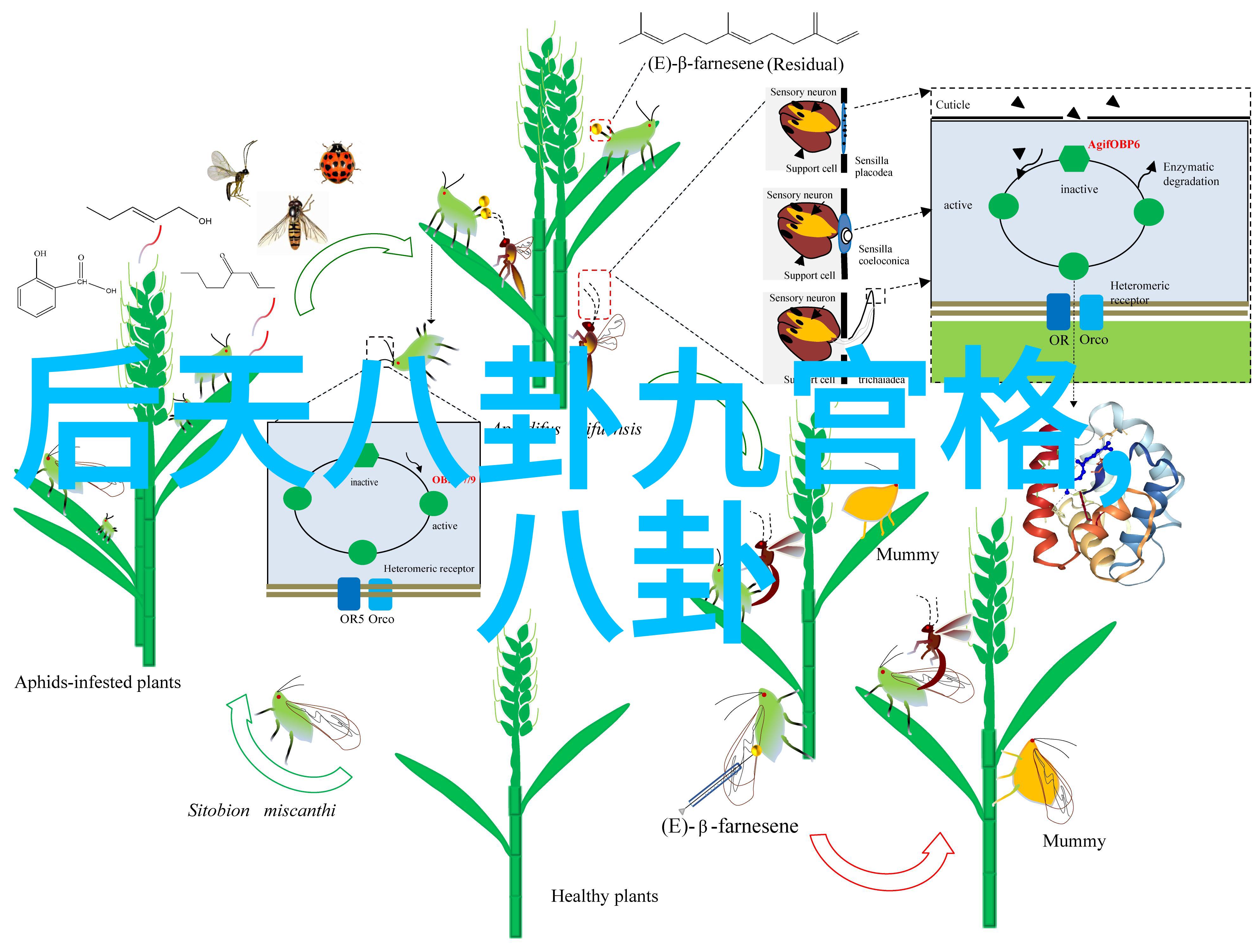 番茄影视大全王凯的大江大河改革开放的线性时光之歌