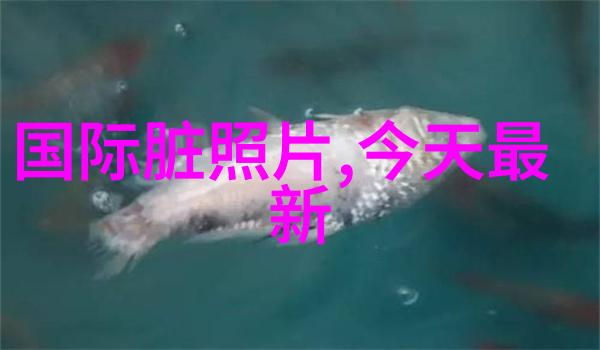 八卦的秘密天地间的指南针