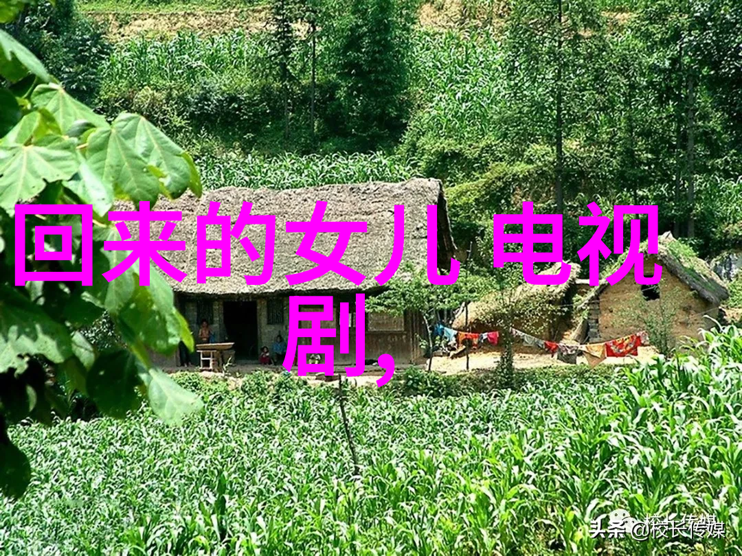 电视荧屏上的星光闪烁娱乐界最受欢迎的综艺节目排行榜揭晓