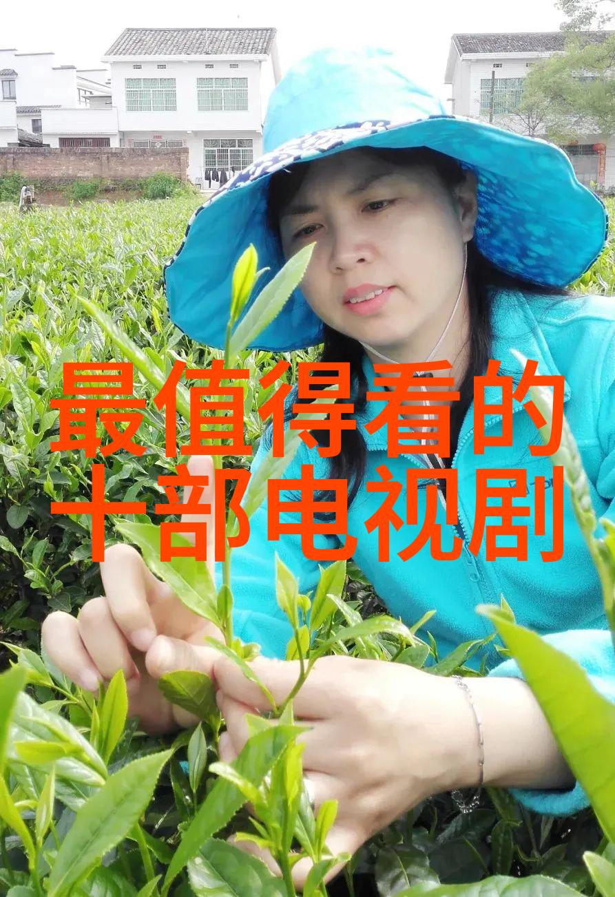 皇冠下的旋律英皇娱乐的梦想交响曲