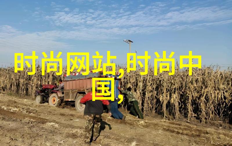 为什么综艺童话成了年轻人热议的词汇
