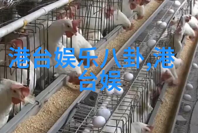 黄晓明的秘密爱子