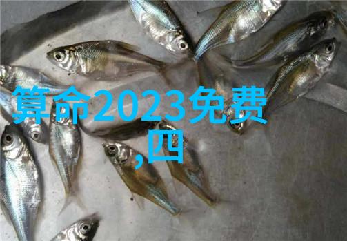 艺术照个人写真祼照时尚摄影的艺术与个人魅力的展现