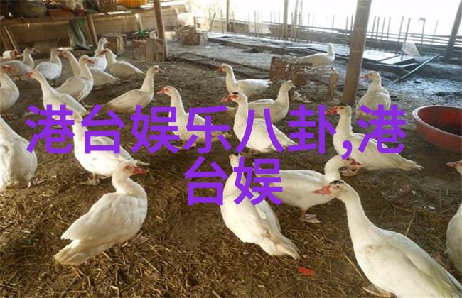 欧洲风情与美国魅力写真艺术的对比探究