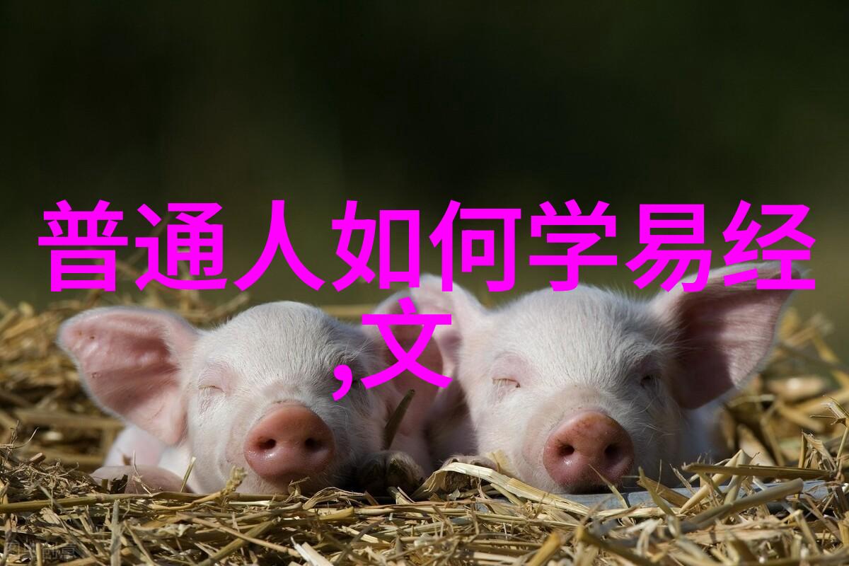 新版金银瓶全集精彩回顾免费观看1-5集热门剧情总结