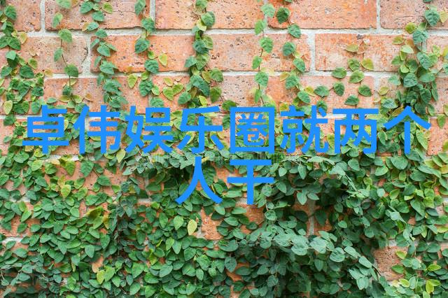 头条新闻智慧之光惠泽百姓