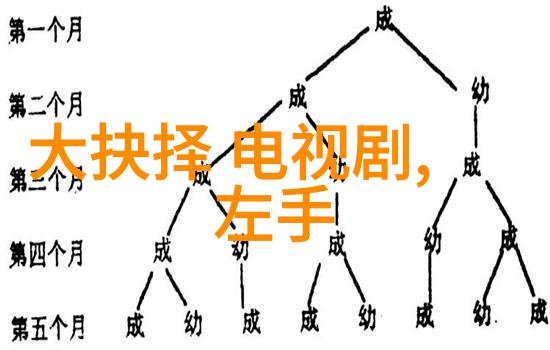 人物传记-王洋追梦者与风华年华