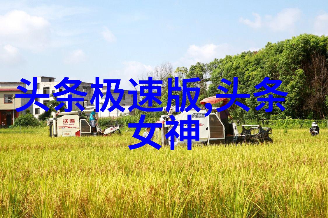 先天八卦和后天八卦在命理学中的作用有何不同