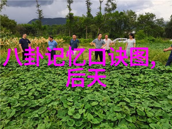 我台湾2035未来的梦想与现实