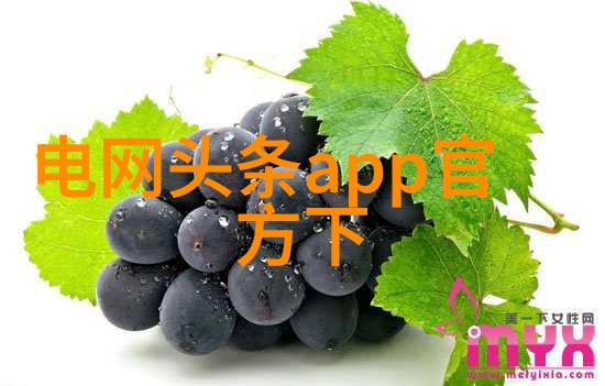 电视剧-爱上我就这样开始的奇妙