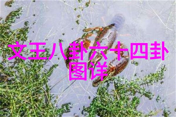 追踪亚洲写真热潮一二三区背后的故事和风格