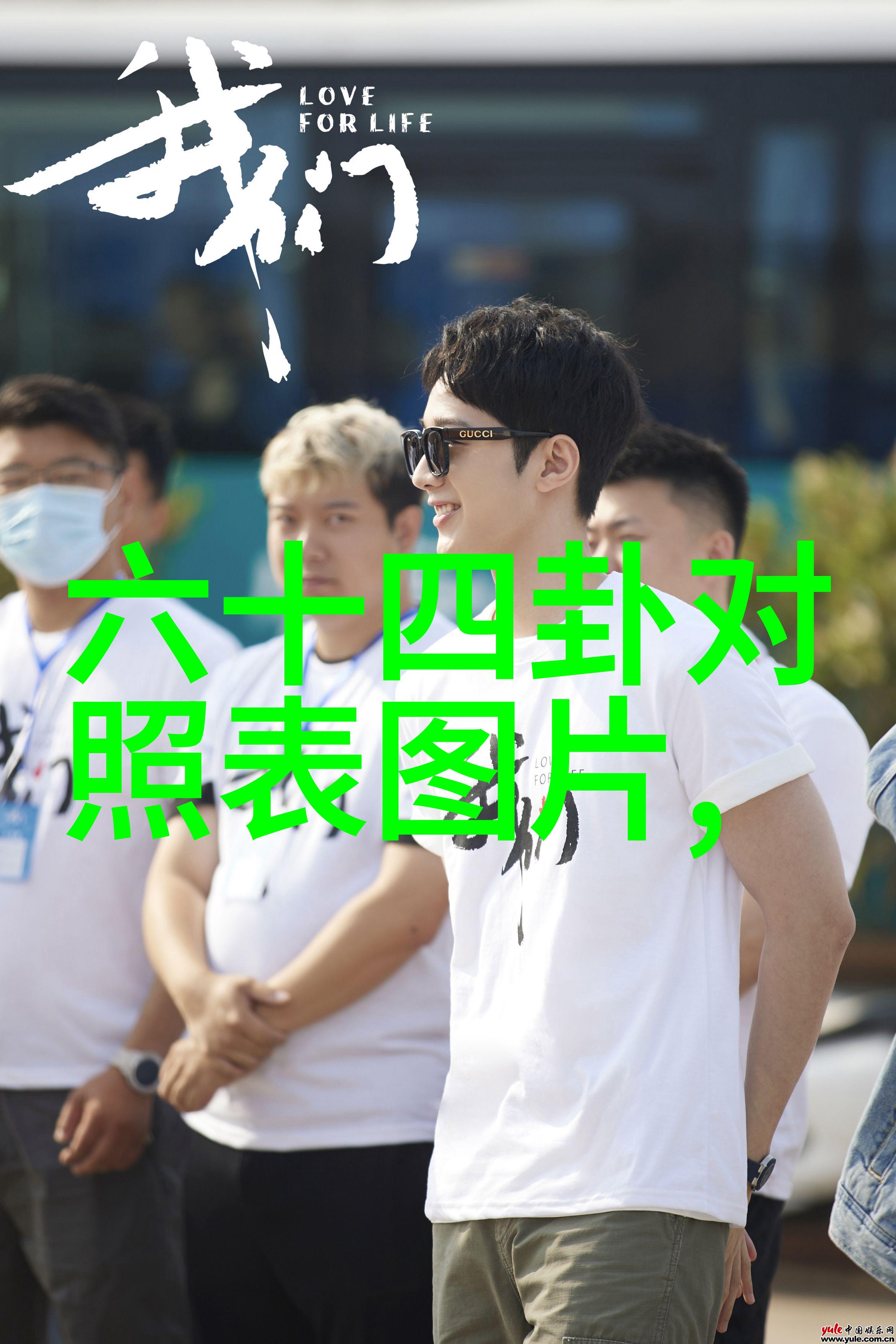 爱情的不期而遇不可预料的恋人电视剧