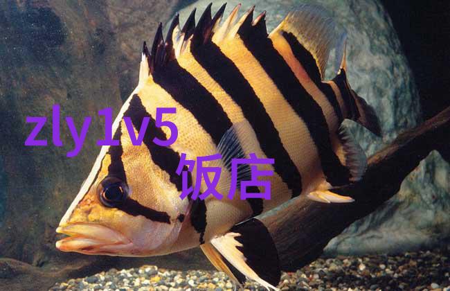 八方图穹解读古秘之方位韵律