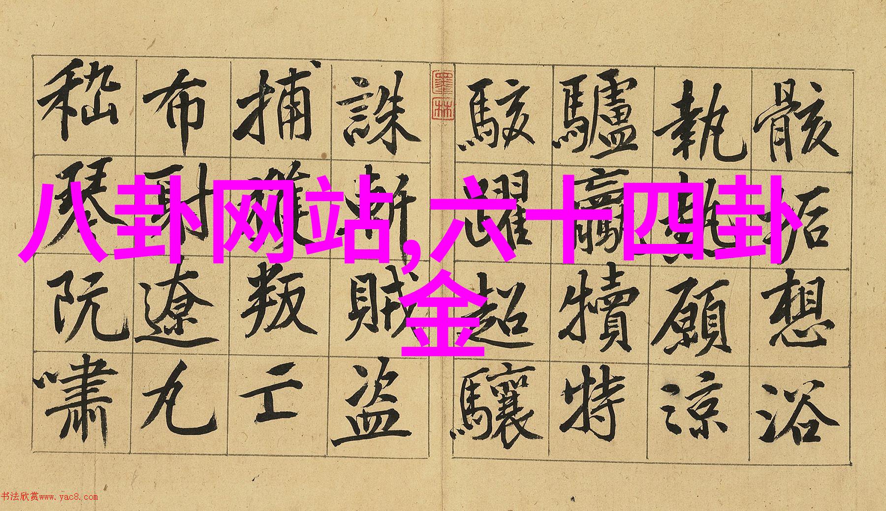 捕捉时尚之美探索女性魅力在摄影中的展现