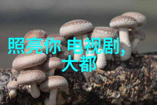 02319数字密码破解秘籍