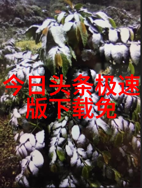 精美图片壁纸唯美探索视觉艺术的细腻之境
