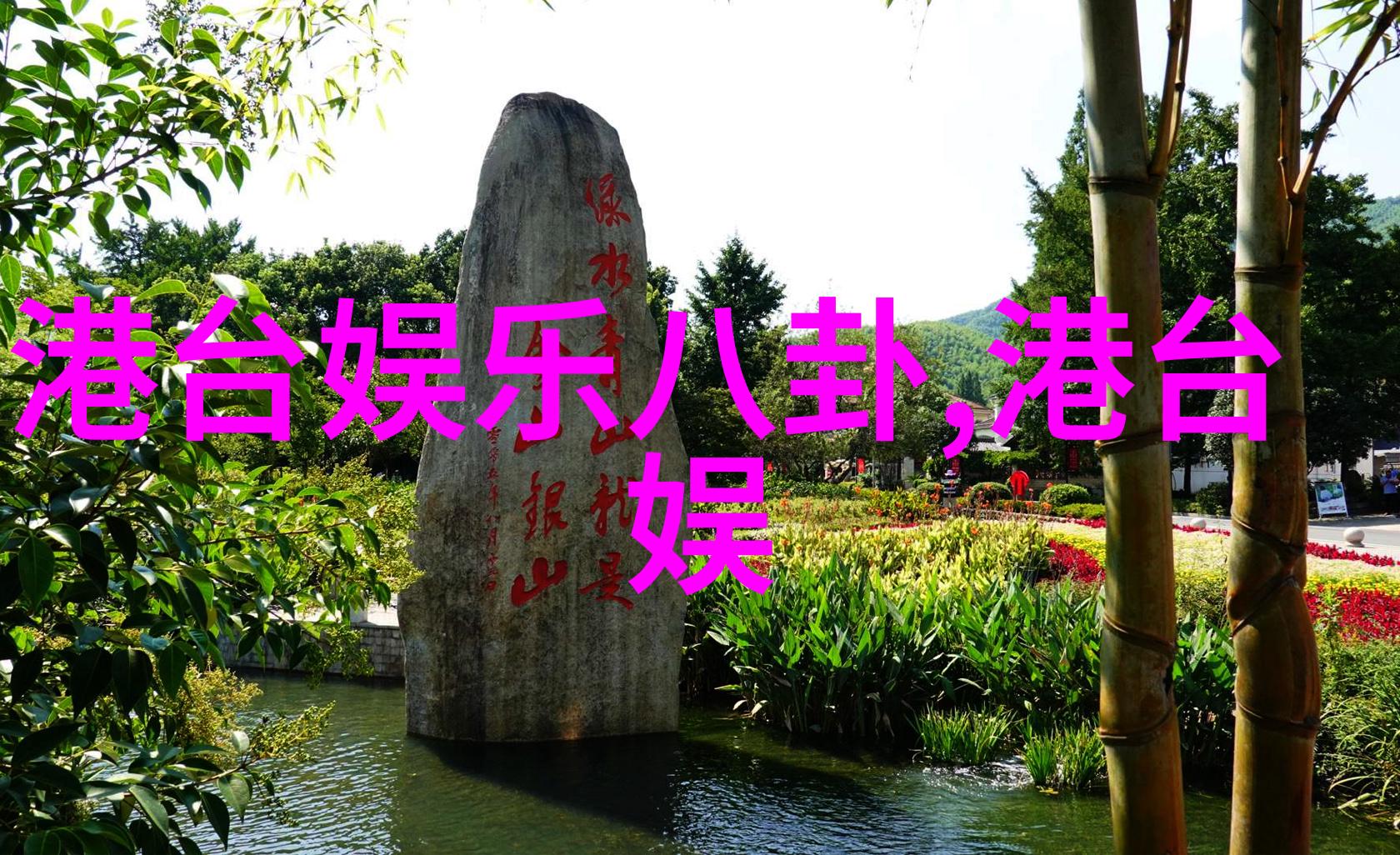 球场上的舞蹈一场世界杯直播的奇遇