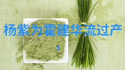 什么是日本写真中的新感觉运动以及它对摄影艺术有何影响