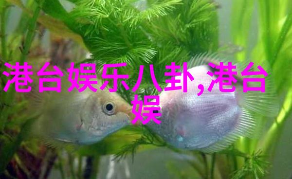 社会顶楼16集最新预告背八卦口诀读法剧情大揭秘