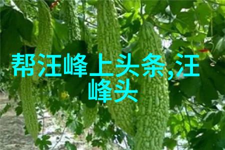 泡泡影视追逐梦想的无限旋律