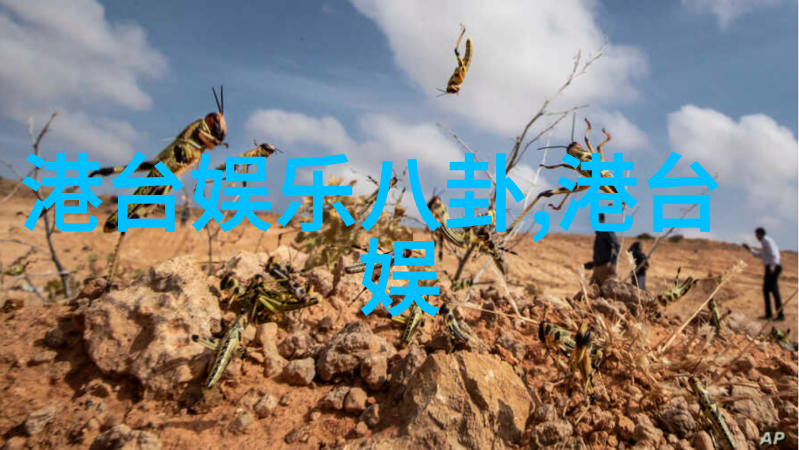 无与伦比的美丽绚烂盛开的电视剧传奇