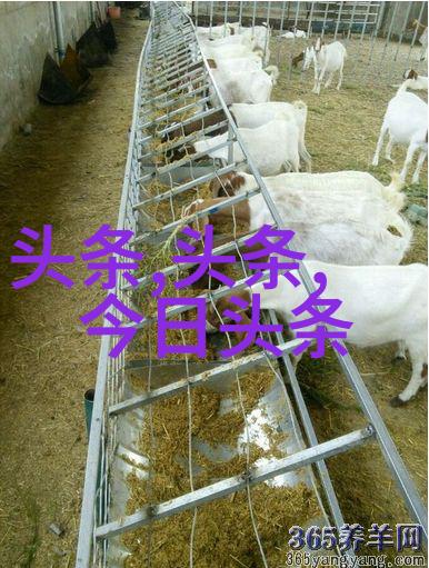容祖儿飞往美国进修舞艺社会音乐风潮中手机免费下载歌曲热潮看点无限