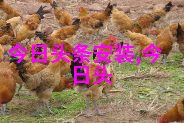 娱乐新闻热点明星私生活大揭秘娱乐新闻中最受关注的明星隐私事件