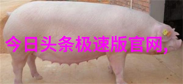 从抽象到具体-通过观察和研究不同类型的背景来理解其在视觉传达中的作用