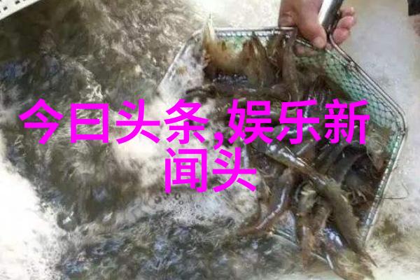 张静初人像写真黑白艺术展现完美腰线魅力