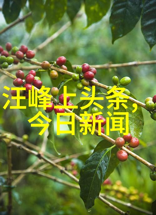 歌曲大侠揭秘免费听歌的VIP秘籍