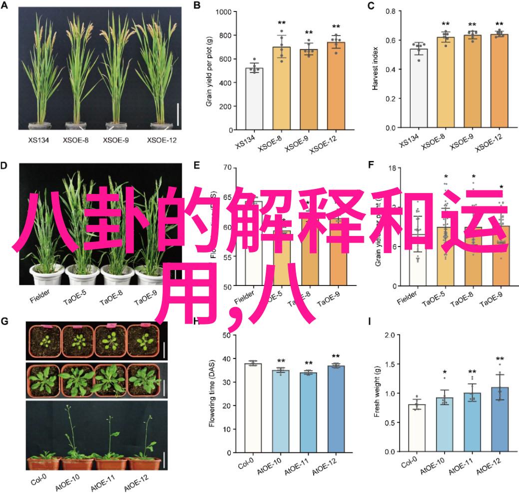 在这幅画中他的眼神里藏着什么秘密