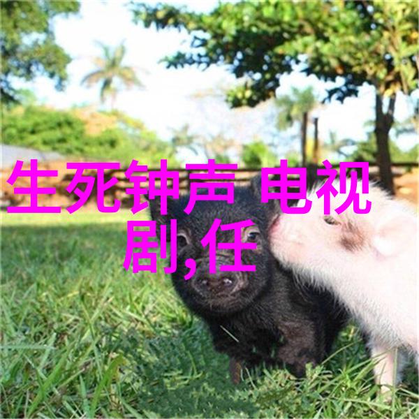 时尚芭莎杂志钟丽缇52岁仍是逛街美人友人称大象腿好惹眼反复提及其身材严重变形的惊人事实