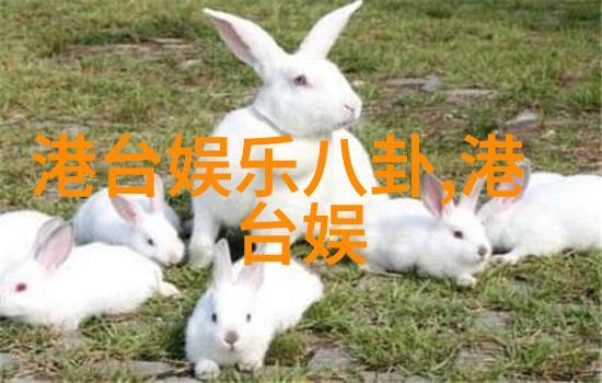 中国国际时装周2013-2014秋冬系列时尚之舞开幕