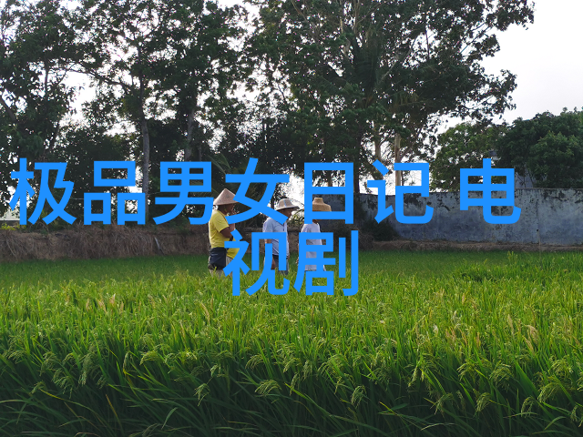 为何日韩两国合体能成为电视剧和综艺上的火星