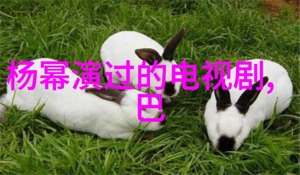 酷狗音乐是否提供官方下载全部免费歌曲的途径