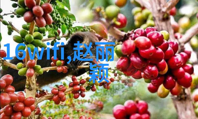 沈南近况引争议八卦解读隔离疑虑与物资囤积
