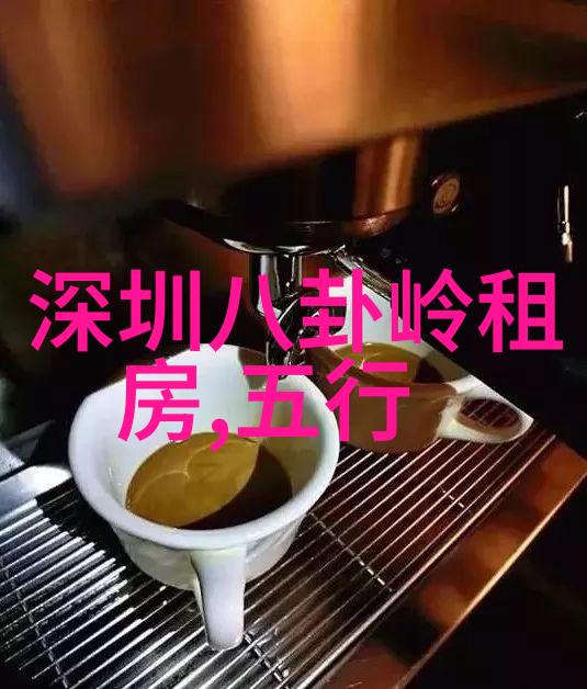 镜中影写真女友的幻灭