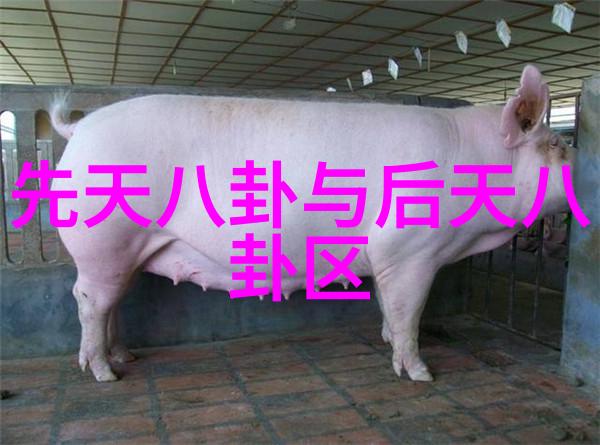 怎么学八卦运用八卦-揭秘如何掌握并运用古老智慧的八卦