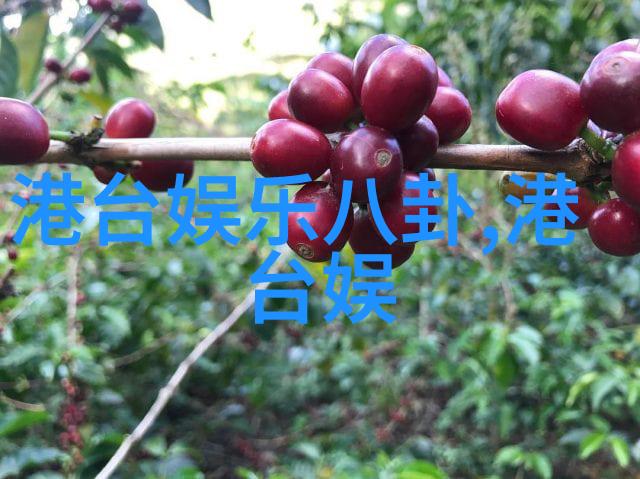 网红打卡地雪犁的冬日绽放