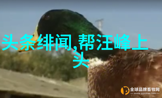 美丽世界色彩斑斓的摄影艺术展