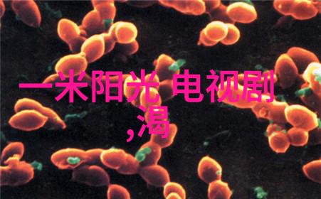 钟丽缇与友人在香港逛街身材反复变形大象腿配时尚饰品好惹眼