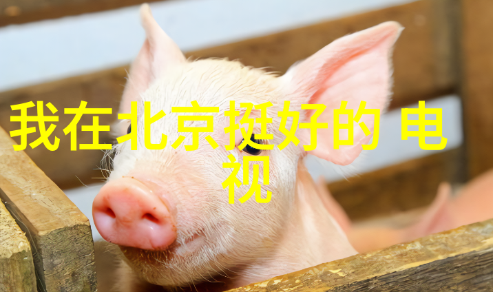 田一名年龄多大哪里人怎么火的资料弯弯网红个人资料物品干柿鬼鲛解释