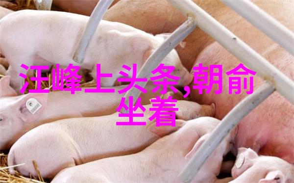 新视觉影视革新电影制作的艺术与科技融合