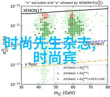 写真是啥-文字游戏的艺术与技巧探究