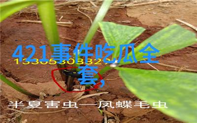 台湾人看大陆电视剧-跨海情深台视观众与大陆剧的共鸣