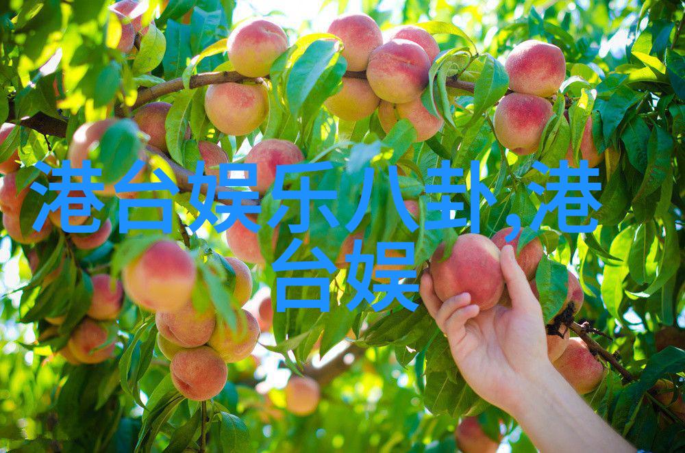 明月曾照江东寒简介探索江南旧事与人心追忆往昔风华与凄凉
