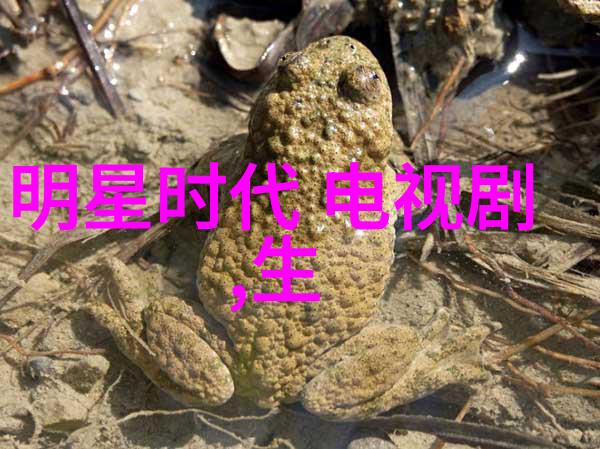 秦姝的东宫生活荣耀与哀愁之间的纠缠
