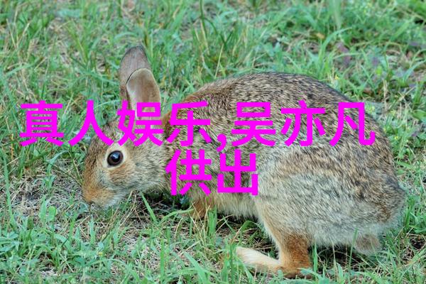 韩国电影中的表妹形象探究角色塑造与文化意义