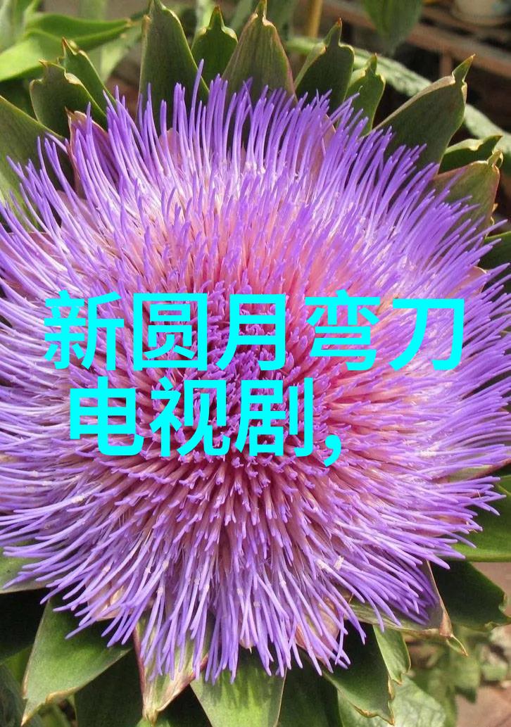 智慧出行新篇章头条女神引领以人为本的科技革命