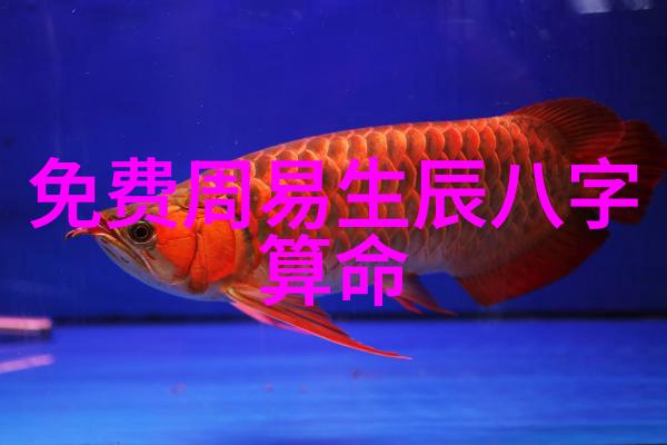 雷彬艺个人资料简历他是哪里人身价多少在皇冠体育的舞台上他以独特的风格吸引了无数粉丝